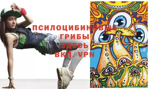 дмт Новодвинск