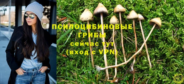 дмт Новодвинск