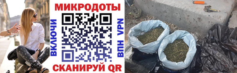 кракен как зайти  Ясногорск  Галлюциногенные грибы Magic Shrooms 
