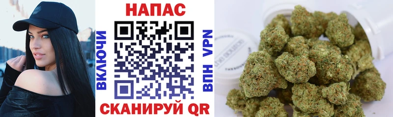 Канабис сатива  купить  цена  Ясногорск 